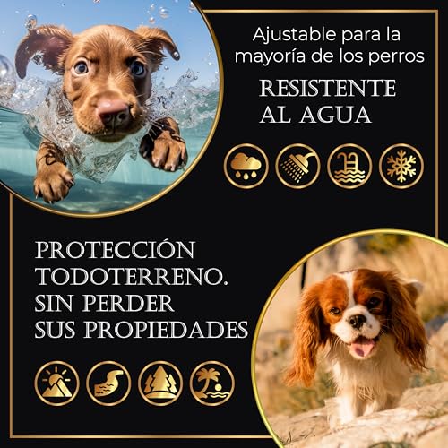 Detalle de Life Innovation Pack 4 Collares antiparasitarios para perros – 24 meses de protección natural