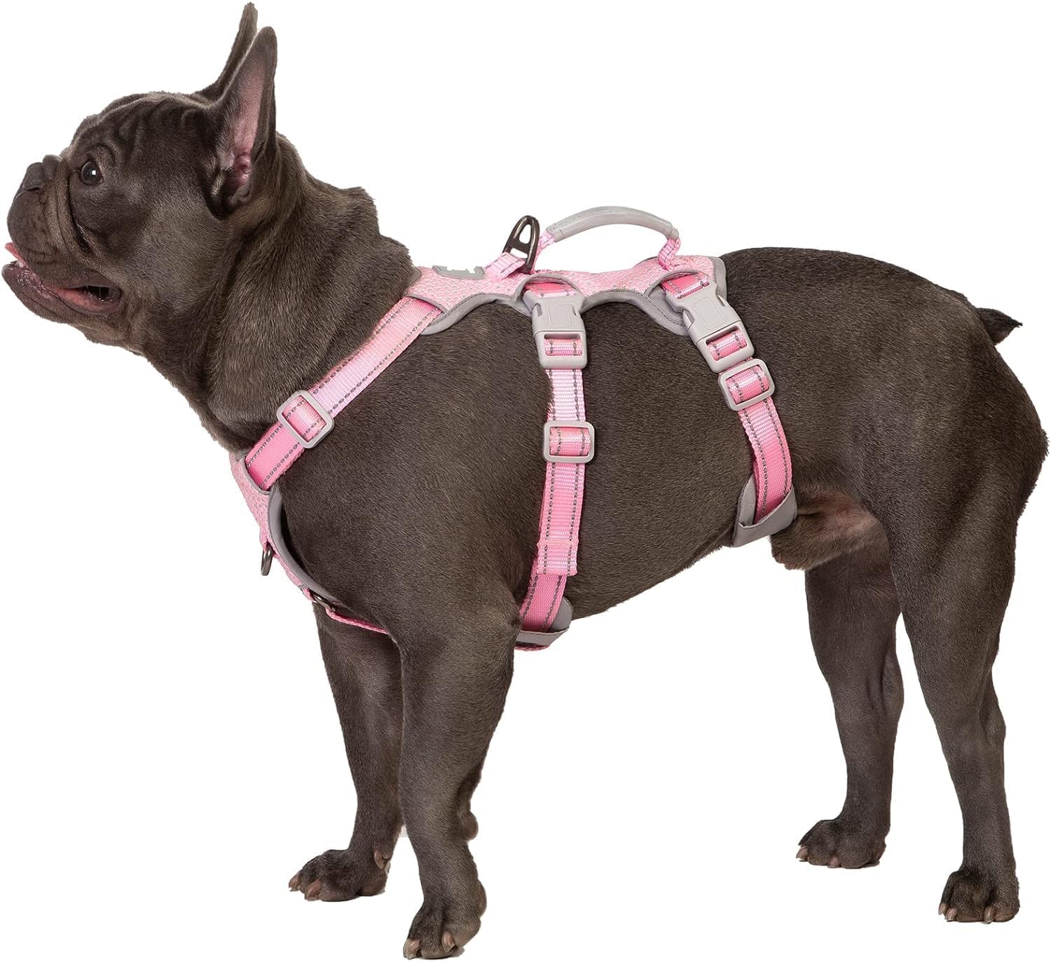 Detalle de Huntboo Hunde-Sicherheitsgeschirr (rosa, S) – ausbruchsicheres reflektierendes Brust-/Weste-Geschirr mit gepolstertem Griff
