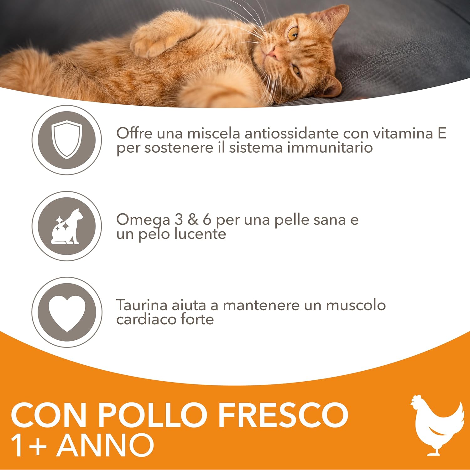 Thumbnail 2 de IAMS cibo secco per gatti con pollo 3 kg – per gatti 1–6 anni