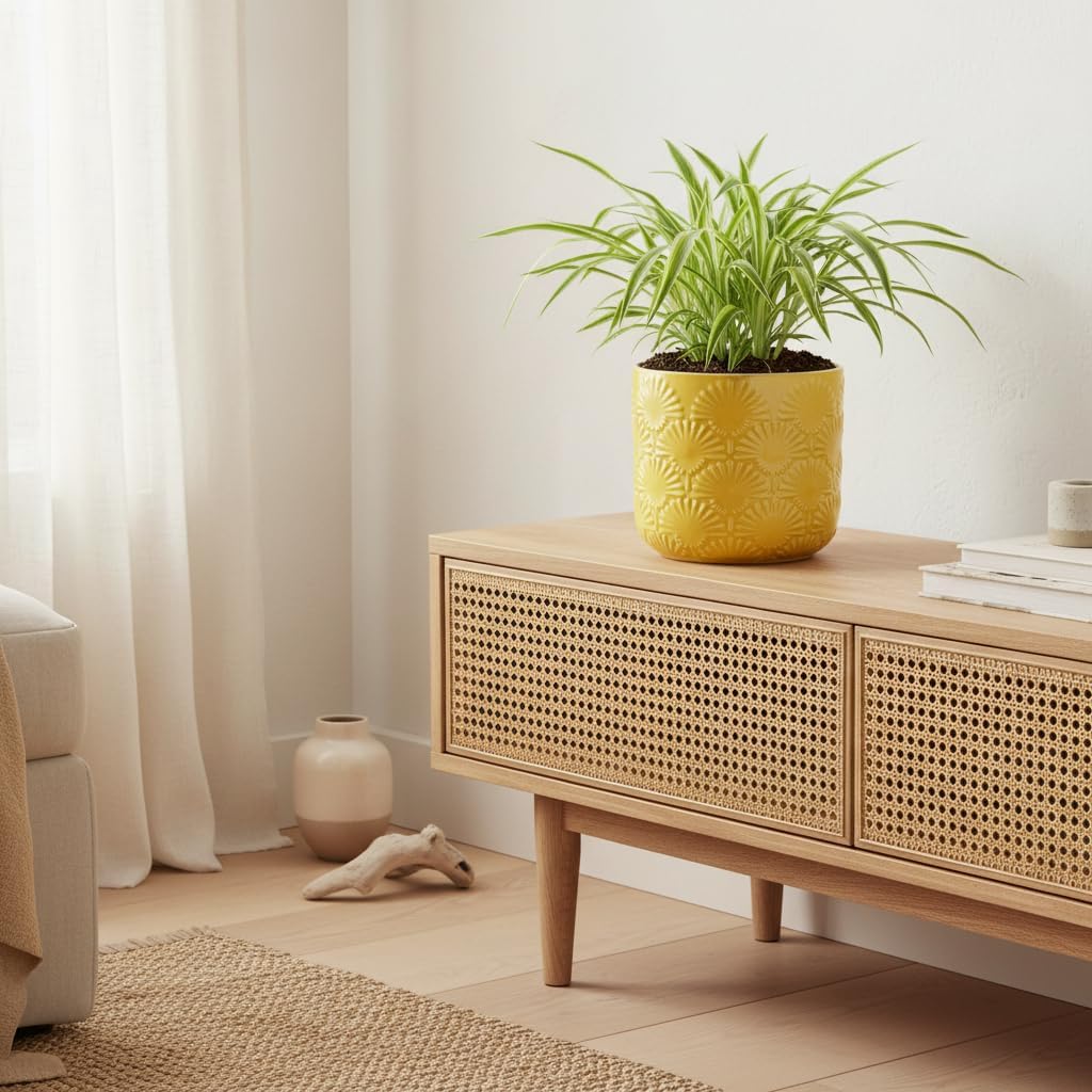 Thumbnail 1 de Xiaan Jiaju 6.7-Inch Ceramic Planter, Butter Yellow, Embossed with Drainage Hole