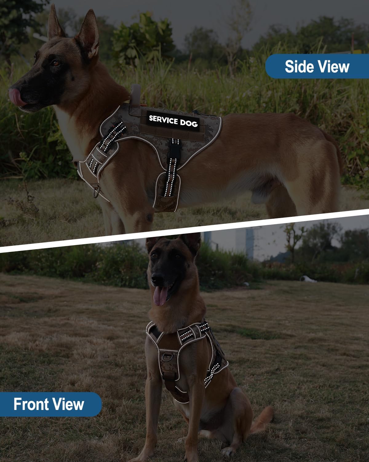 Detalle de PETNANNY Tactical Dog Harness M 🐕