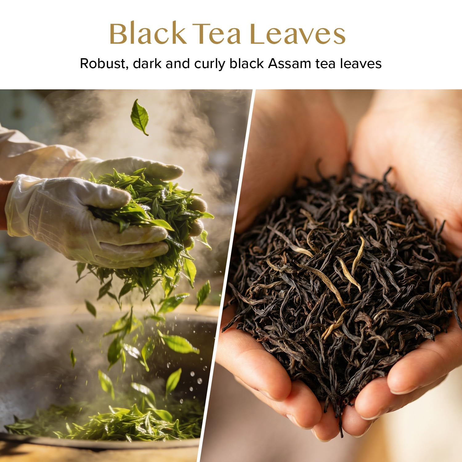 Detalle de VAHDAM Assam Schwarztee – Stark, reichhaltig und direkt aus Indien (340 g, 170+ Tassen)