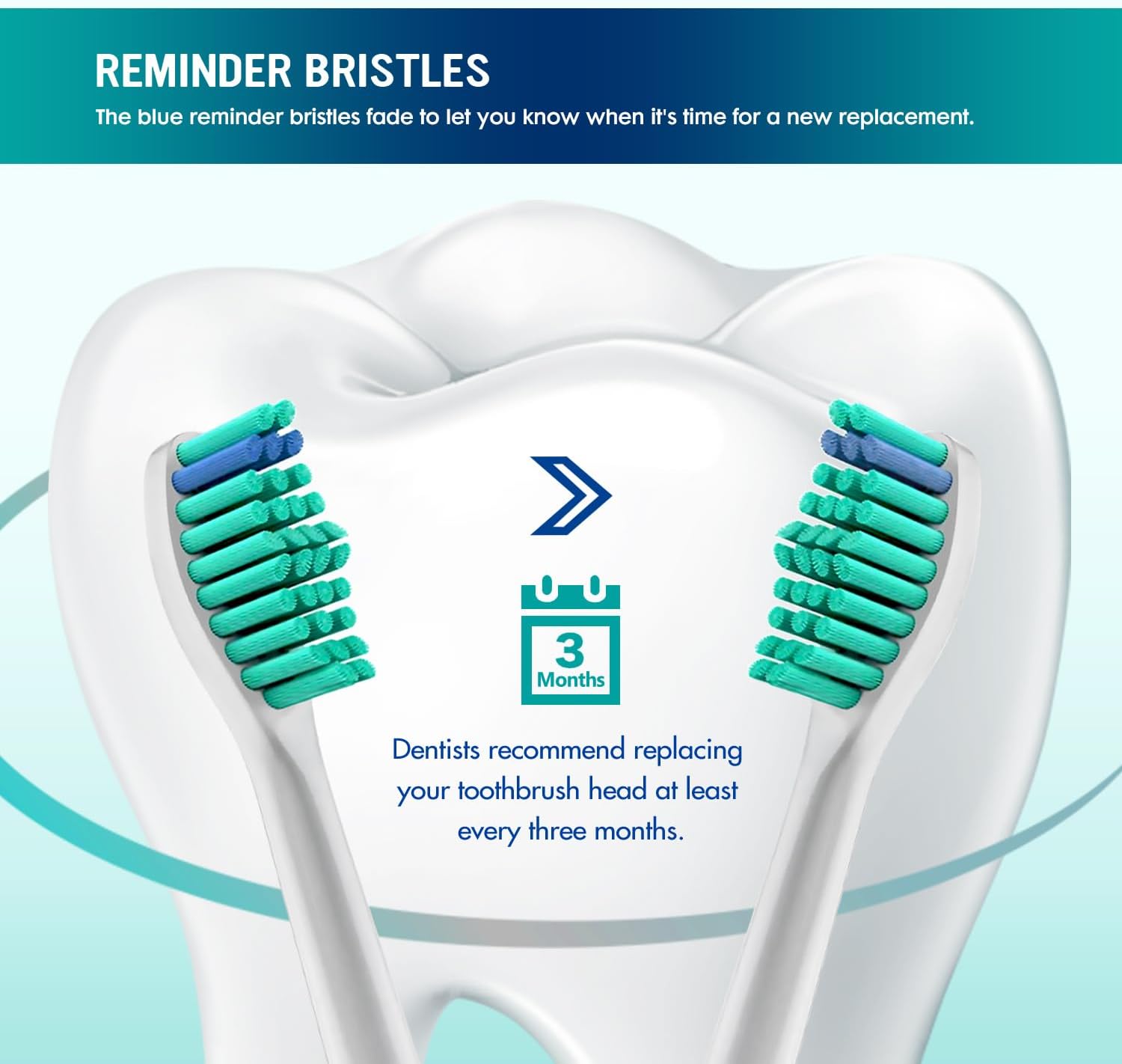 Thumbnail 3 de Derffin Replacement Brush Heads (HX6014) for Philips Sonicare Electric Toothbrushes – 8 Pack