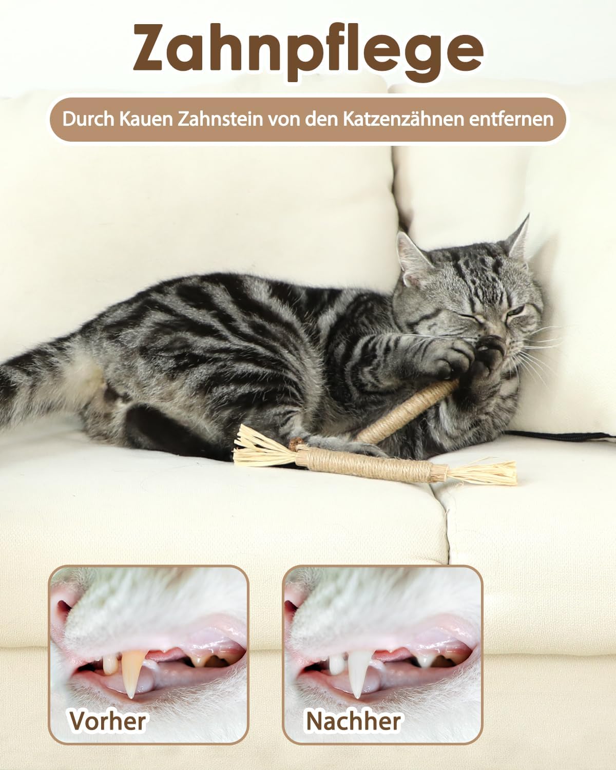Detalle de Nepfaivy Katzenspielzeug Katzenminze Sticks – 6 Stück Silbervine-Kauspielzeug für Katzen
