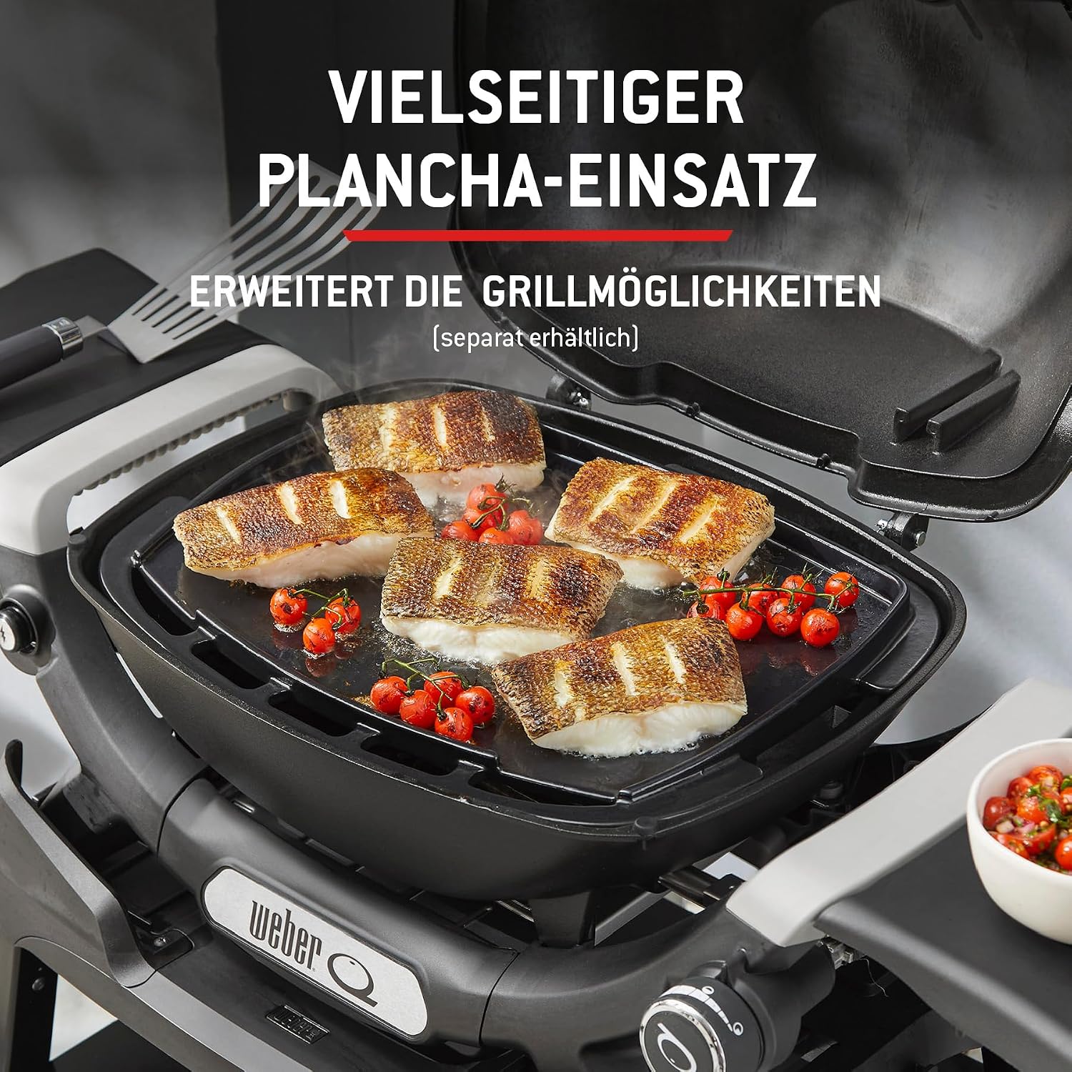 Detalle de Weber Q 1100N Gasgrill: Tragbarer Allrounder für Camping, Terrasse und Balkon