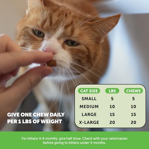 Thumbnail 7 de Pet Honesty Cat Hairball Remedy Treats: Dual Texture Crunchy Creamy Hairball Relief for Indoor Cats