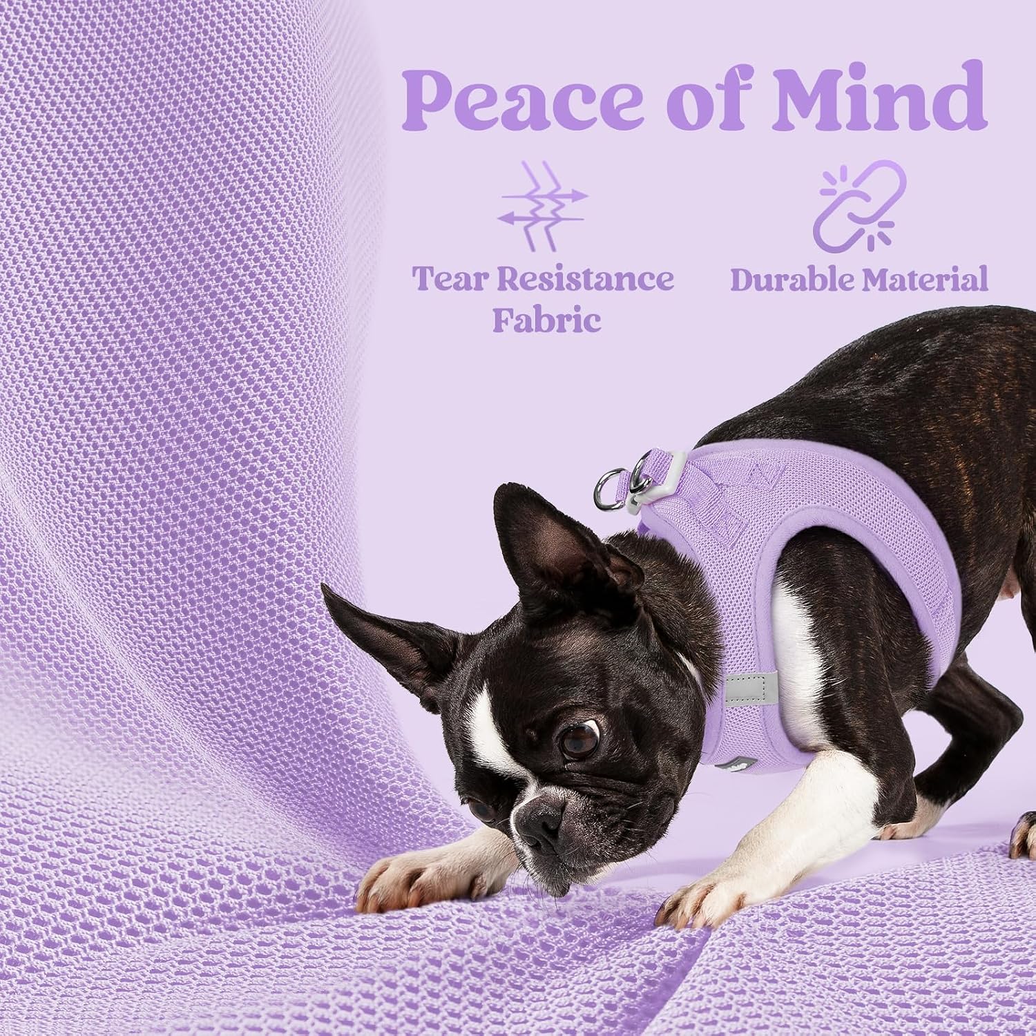 Thumbnail 3 de rabbitgoo Dog Harness Small Dog (Size M) – Step-in Soft Mesh, Reflective, Light Purple