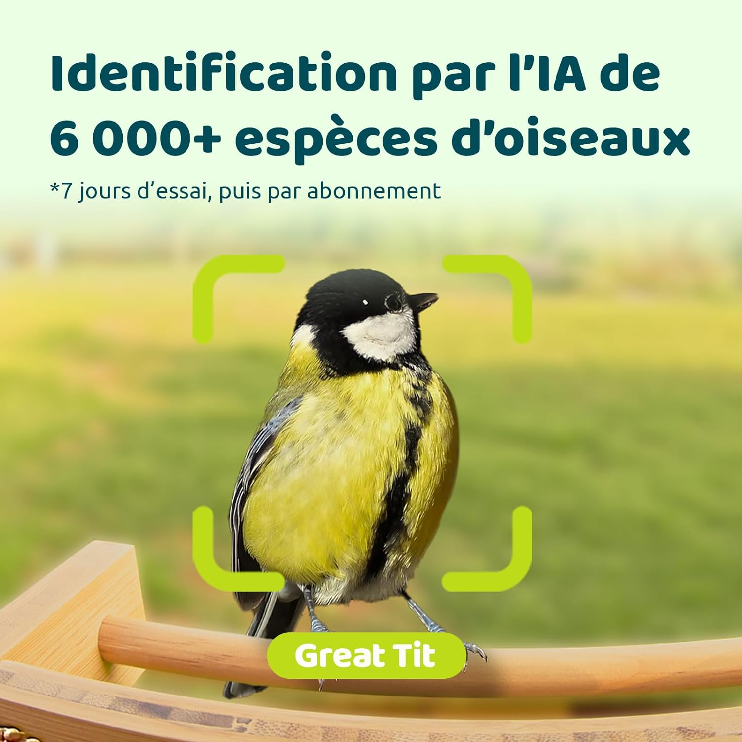 Detalle de Netvue by Birdfy Mangeoire oiseaux 1,9 L