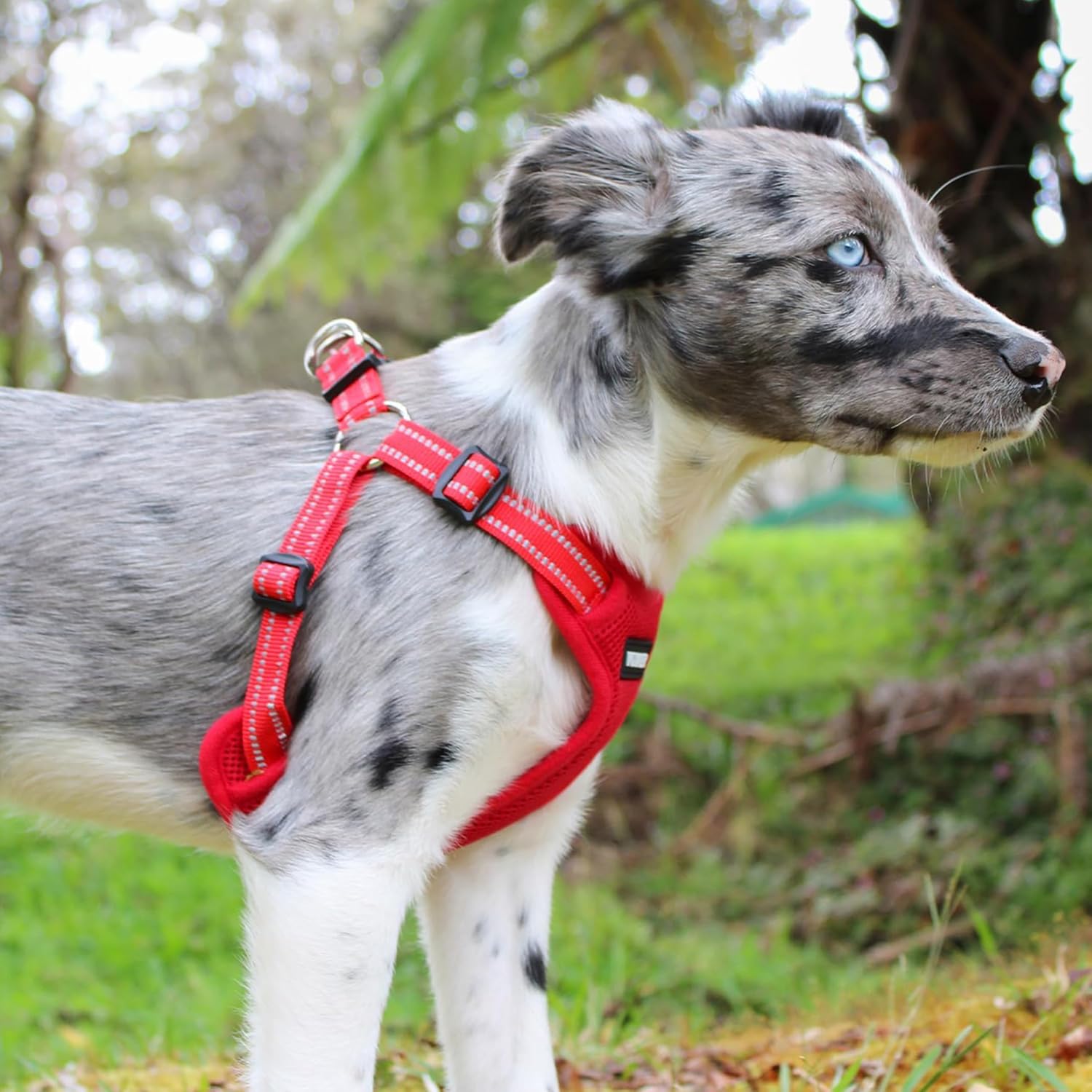 Detalle 2 de Voyager Dog Harness, Large