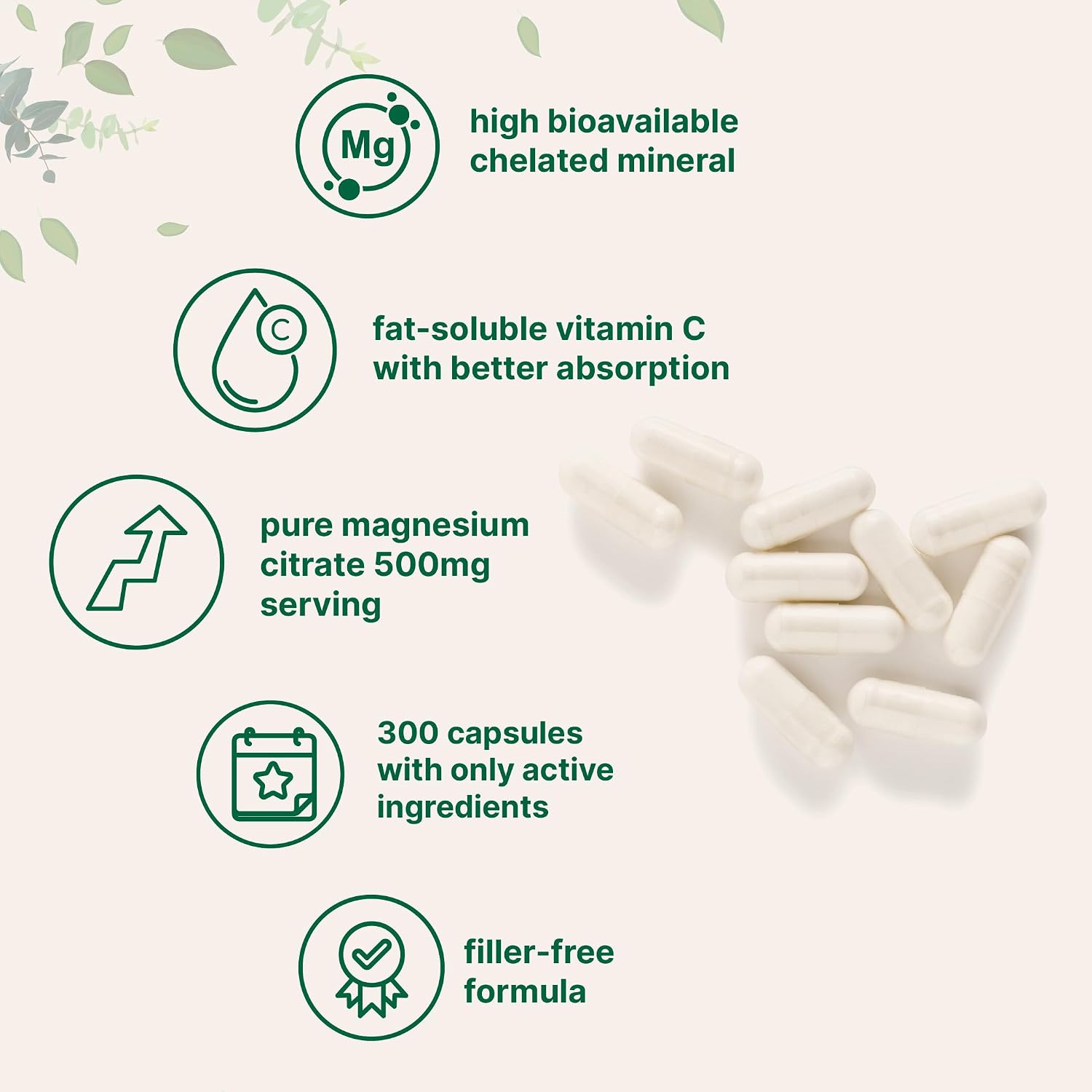 Detalle de Micro Ingredients Magnesium Citrate Supplement 500mg