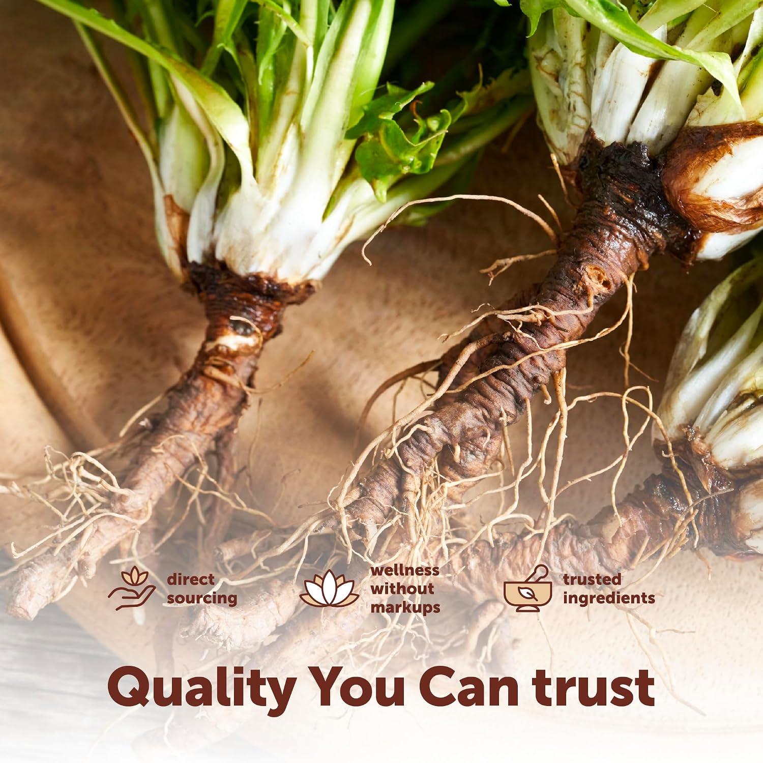 Detalle 1 de Micro Ingredients Dandelion Root Supplement 240 Softgels