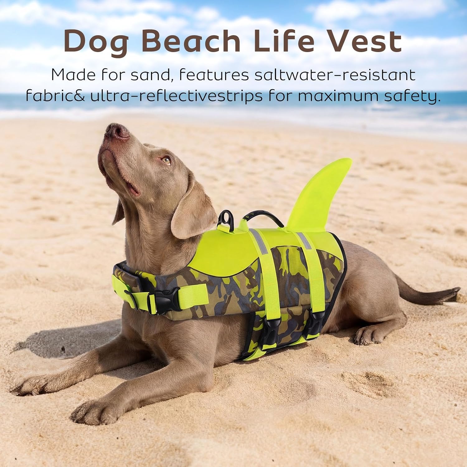 Detalle de CITÉTOILE Dog Shark Life Jackets Vest: Safe, Durable Buoyancy Aid for Your Dog