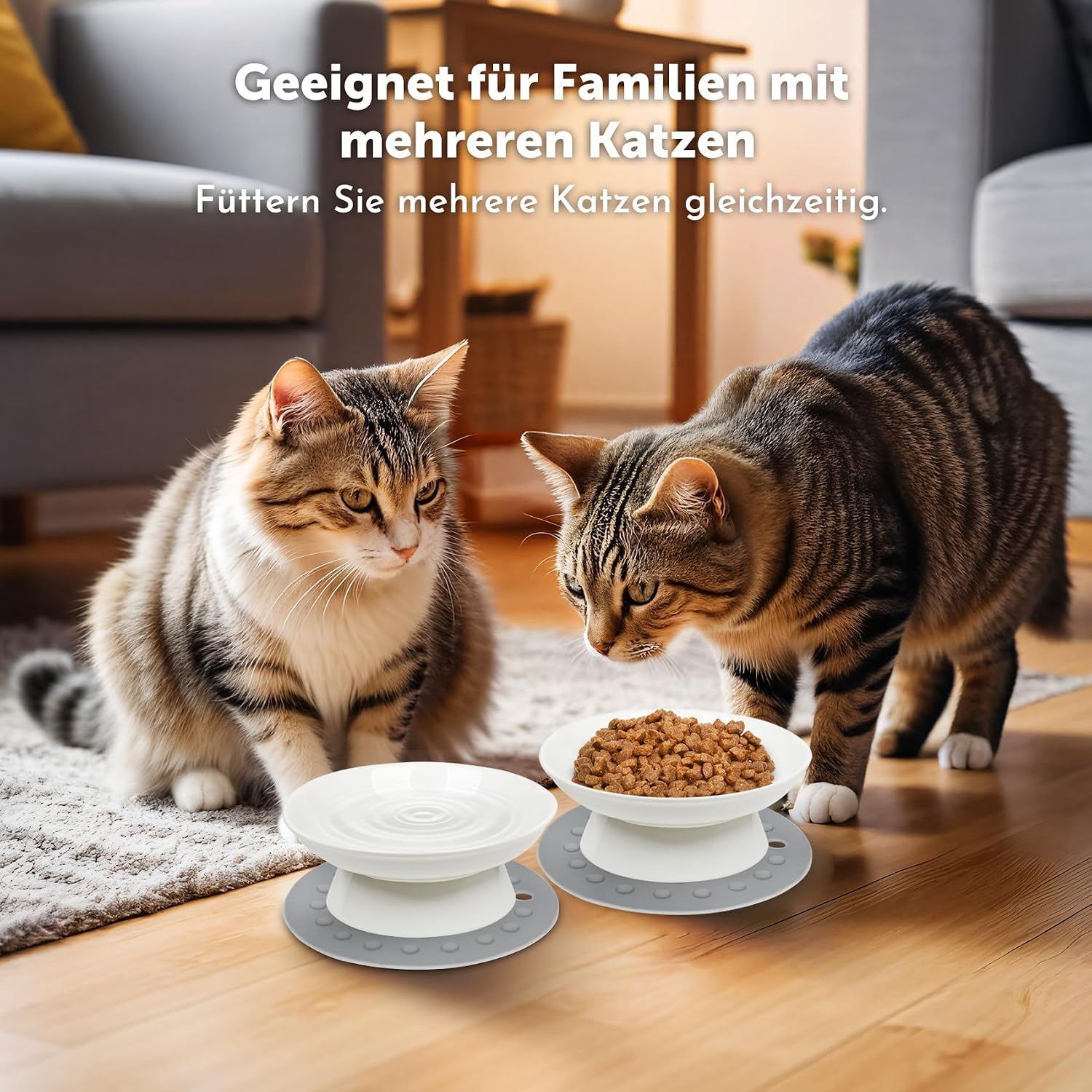 Thumbnail 5 de YIQOGAME Katzennapf-Set aus Keramik (2 Stück) mit erhöhter Bauform