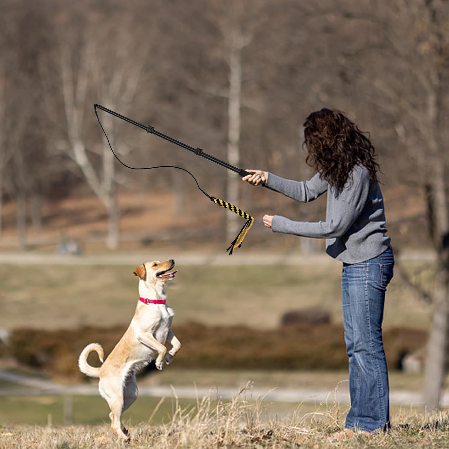 Thumbnail 6 de WOVTE Flirt Pole for Dogs – Extendable, Indestructible Teaser Pole for Outdoor Training