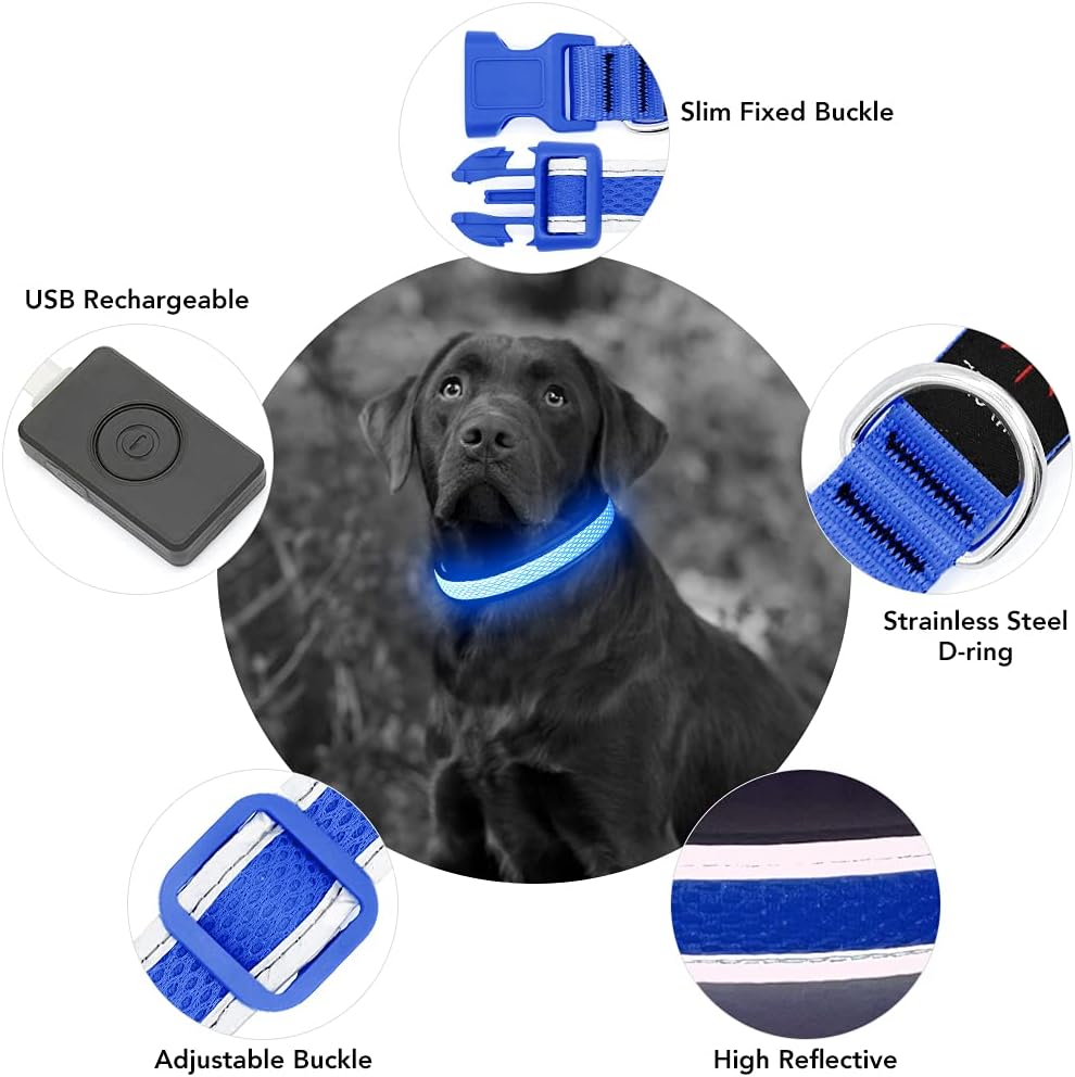 Thumbnail 4 de YFbrite LED-Hundehalsband S blau 🐕