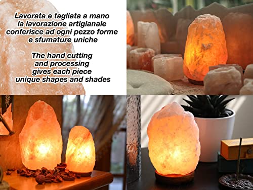 Detalle de BEPER P201UTP100: Lampada di Sale artigianale con intensità di luce regolabile e base in legno