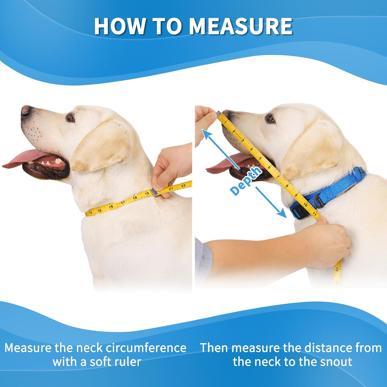Detalle 2 de Soft Dog Cone Collar for After Surgery - Adjustable E-Collar Recovery for Pets (Blue, Size 6)