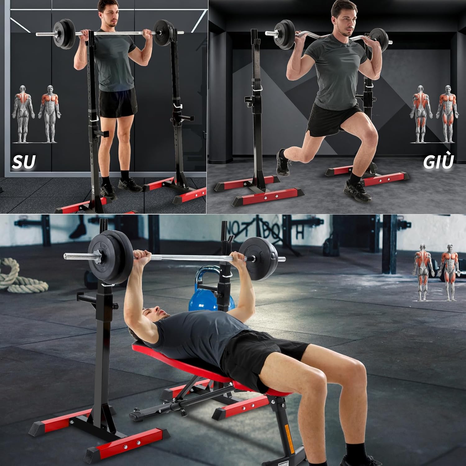 Detalle de ISE Supporto Bilanciere Regolabile per Palestra a Casa 🏋