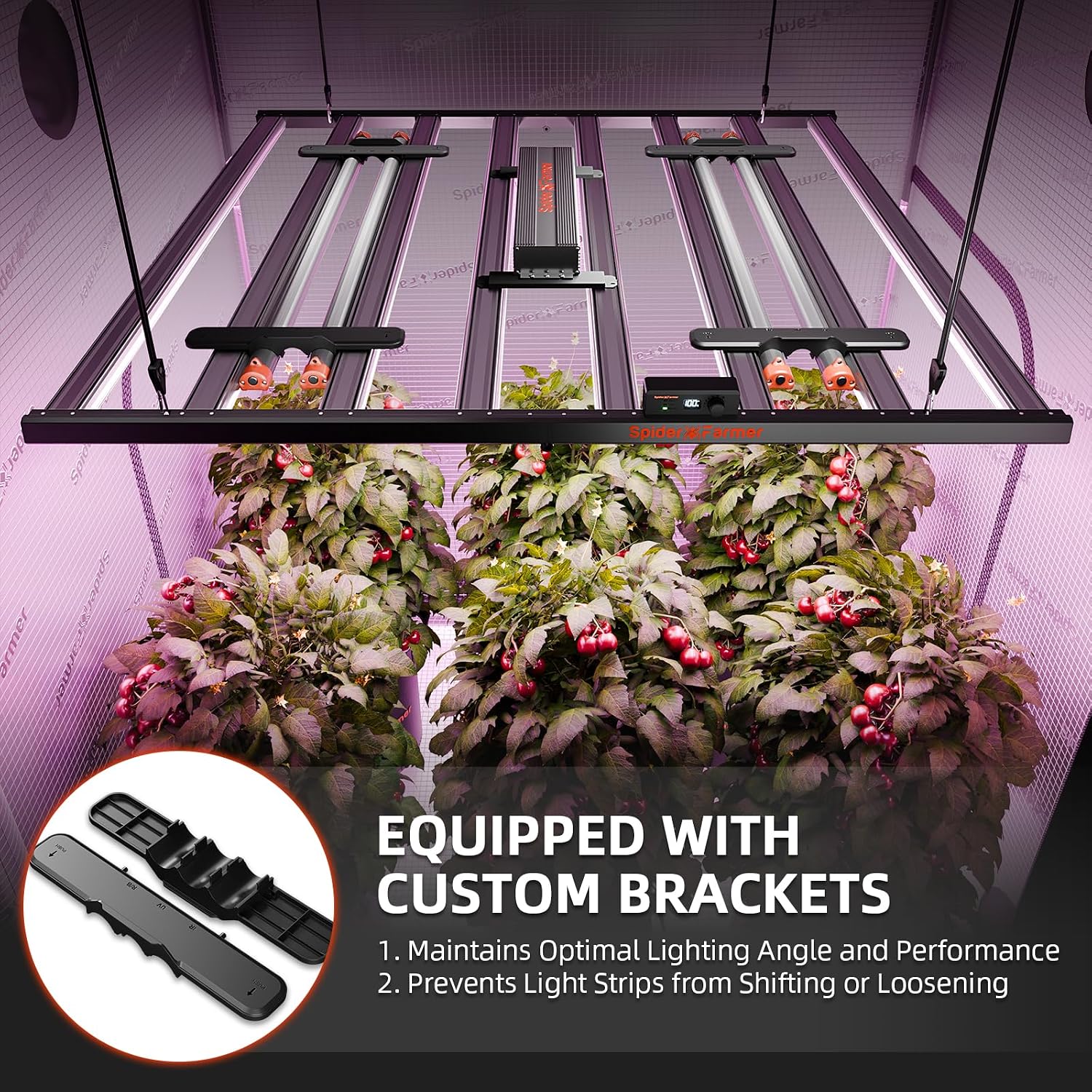 Detalle 2 de SpideSpider Farmer UV-IR Wachstumslicht UV60 365-370