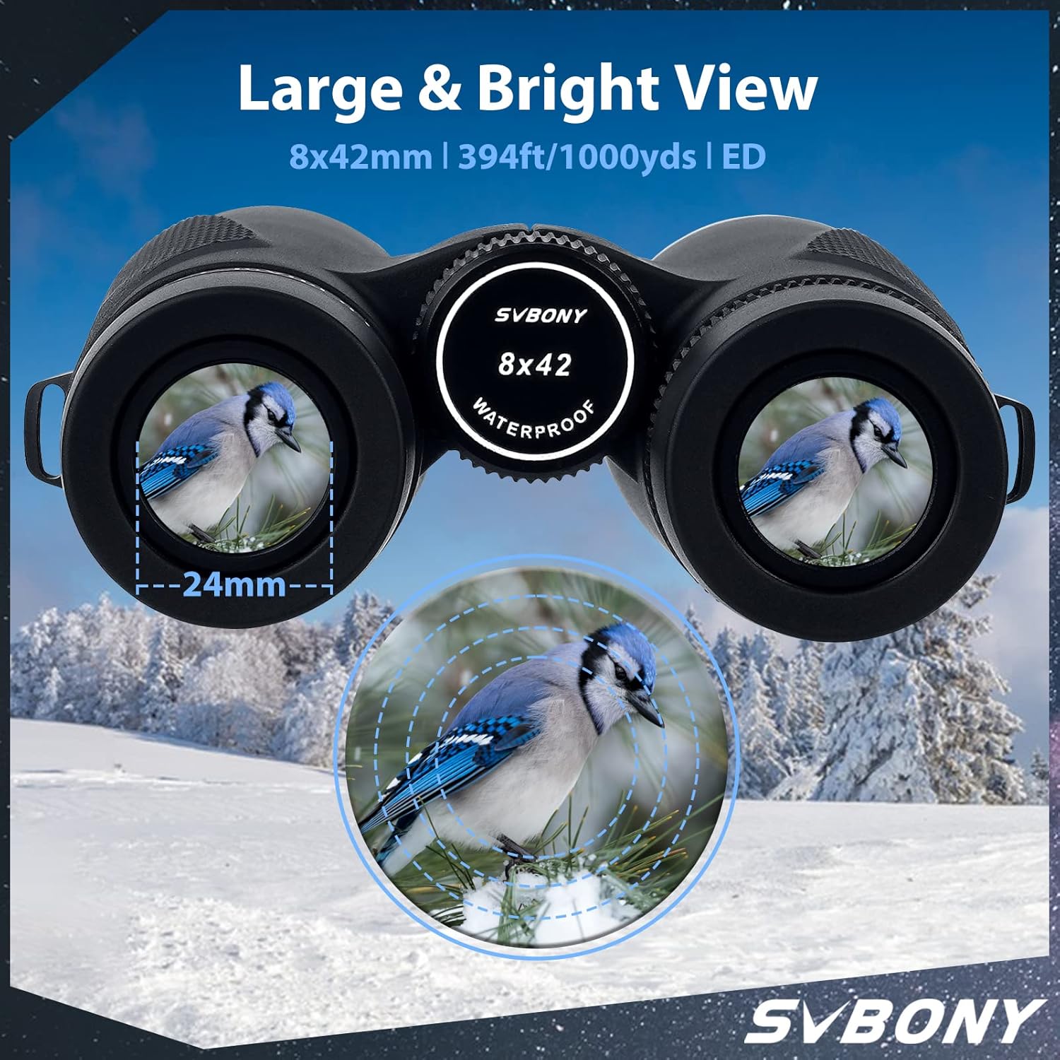Detalle 2 de Svbony SV202 ED 8x42 Binocolo compatto per adulti con vetro ED e FMC
