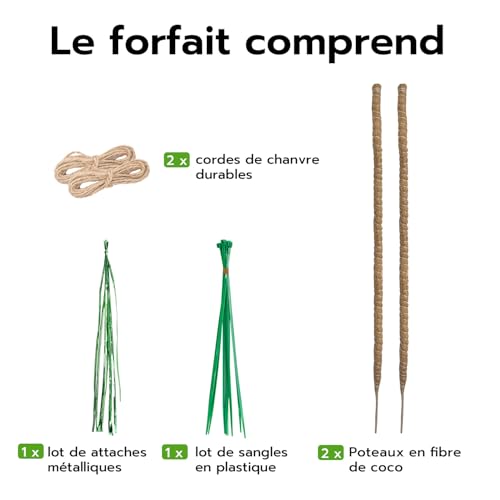 Thumbnail 8 de Wigearss 2 Pièces Tuteur Plante Grimpante en Coco sur Piquet 60 cm – Support flexible pour Monstera et Vignes d’intérieur