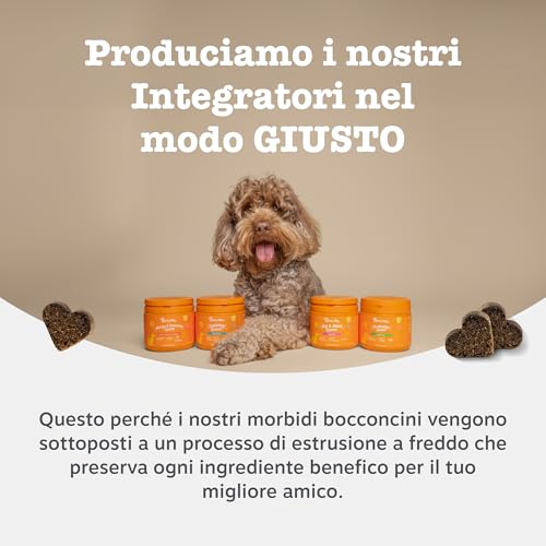 Thumbnail 7 de Zesty Paws Probiotici per Cani – 90 Bocconcini: benessere digestivo e supporto immunitario