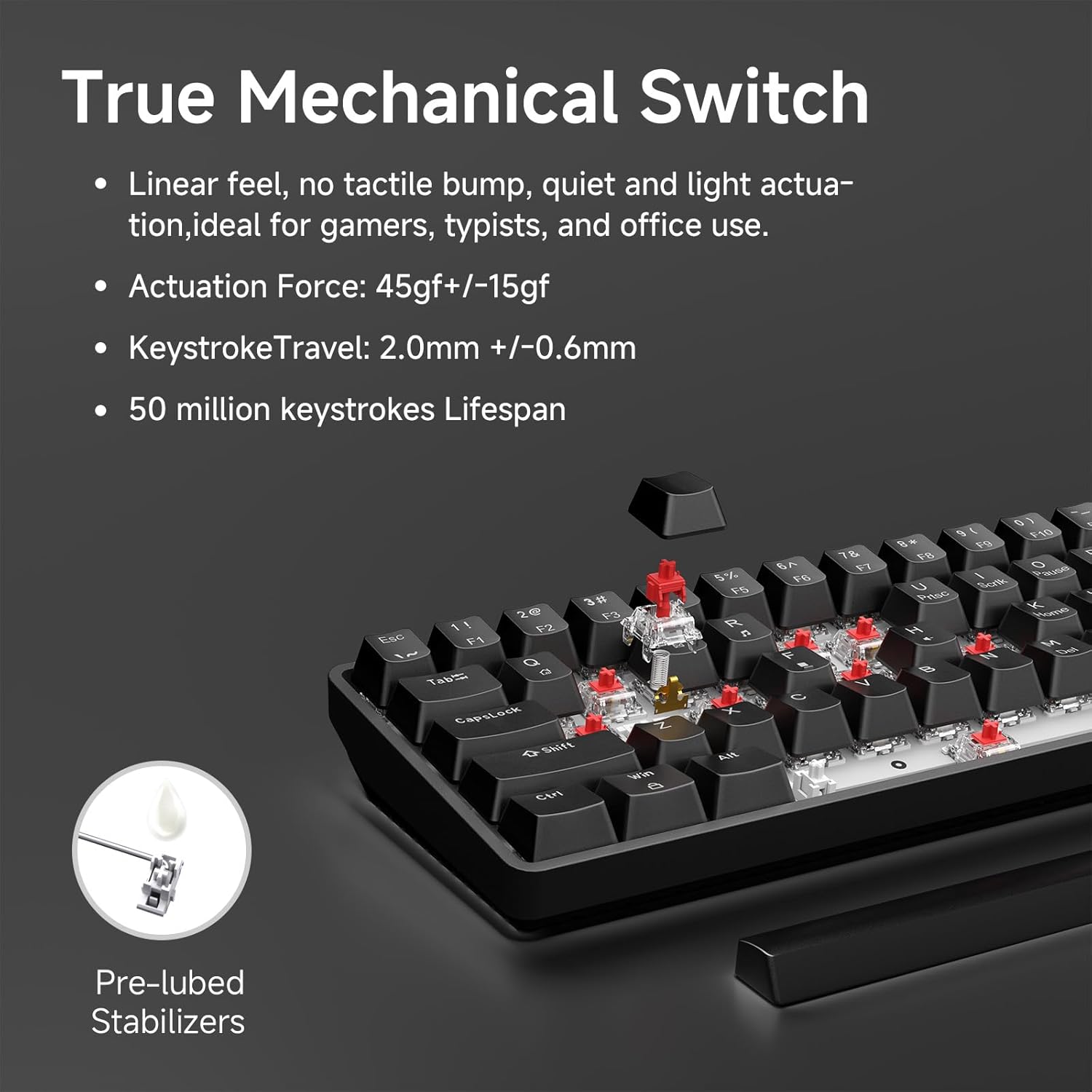 Thumbnail 2 de TMKB 60% Mechanical Gaming Keyboard (Red Linear Switch) with Detachable USB-C, LED Backlight, 61-Key Anti-Ghosting, Wired (Black)