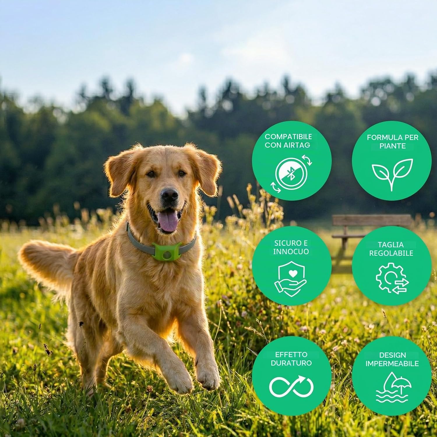 Detalle de Collare Antipulci Cane impermeabile e naturale: protezione multi-strato, 55 cm adjustable