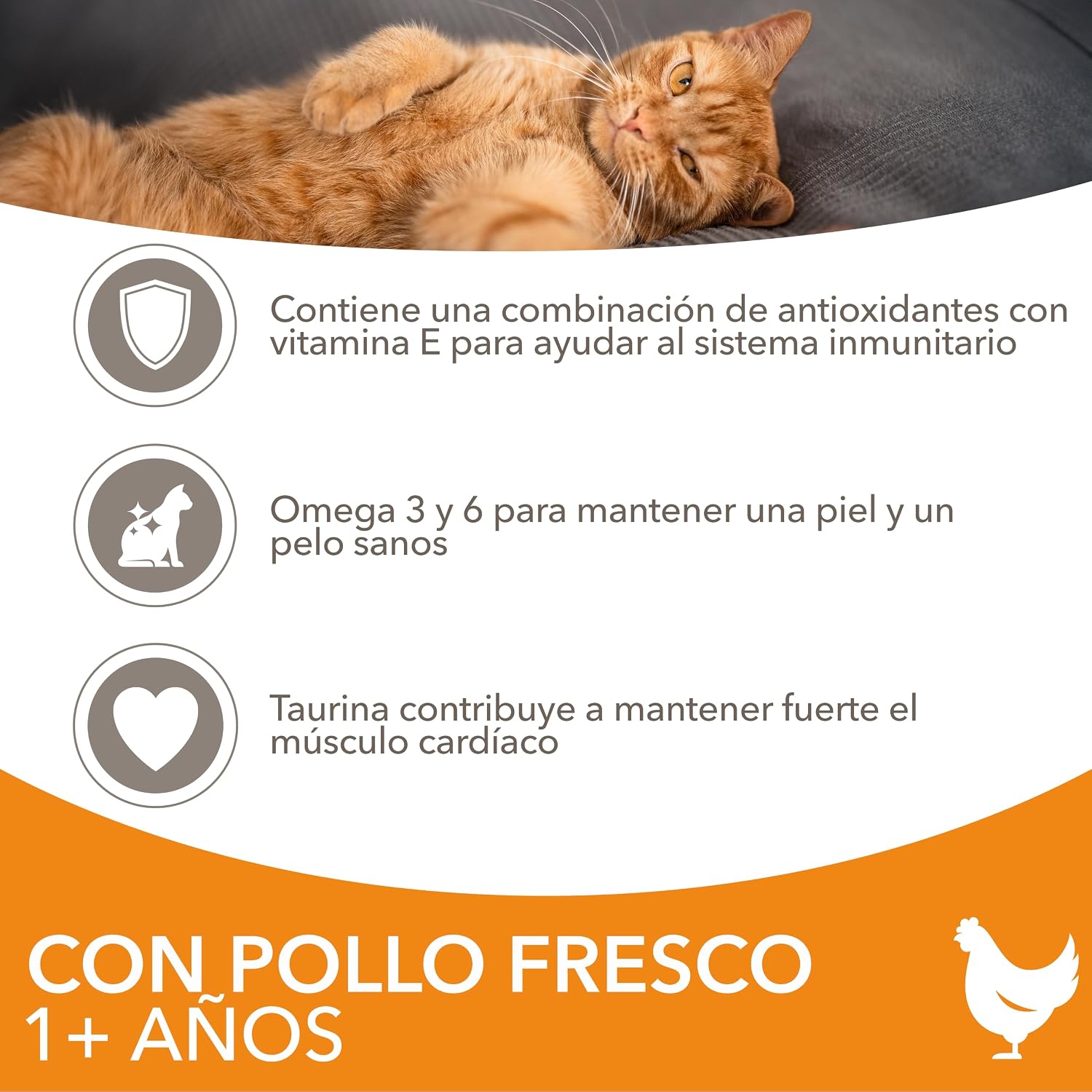 Detalle de IAMS Alimento seco para gatos adultos 3 kg 🐱