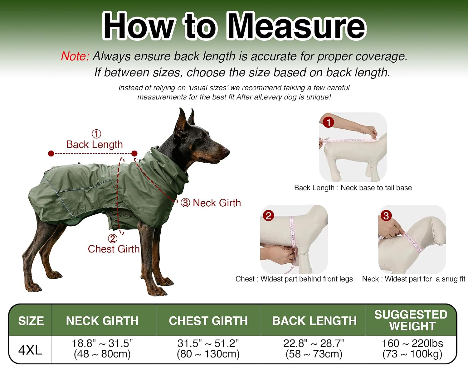 Detalle 1 de Skmeditec Dog Raincoat 4XL