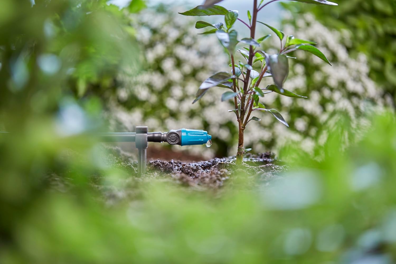 Thumbnail 6 de Gardena Micro-Drip-System Gocciolatore di fine linea regolabile 0-15 l/h (10 pz, 13305-20)