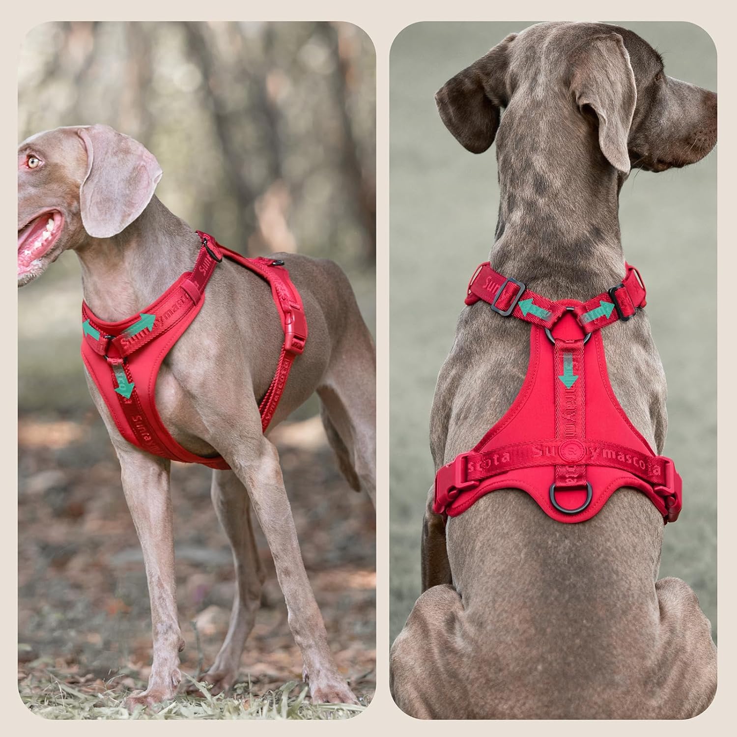 Detalle 2 de Sunraymascota Imbracatura per cani con imbottitura in Lycra, gilet traspirante in rete, taglia XS (Rosso di Borgogna)