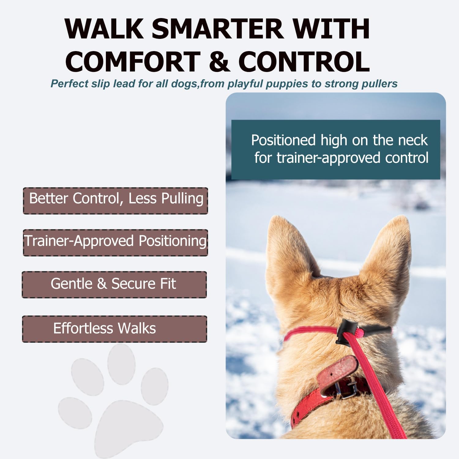 Thumbnail 4 de Slip Lead Dog Leash, 4 FT