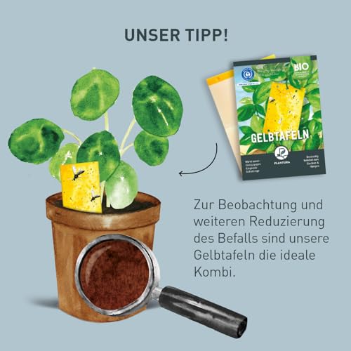 Thumbnail 6 de Plantura Trauermückenfrei Neem, Gießmittel mit Azadirachtin, 75 ml