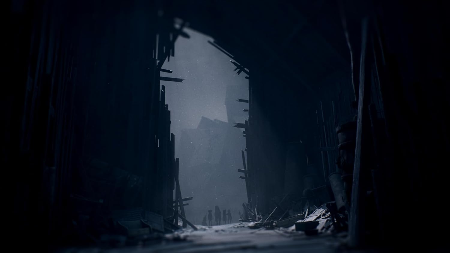 Detalle 2 de REANIMAL (THQ Nordic) sur PlayStation 5