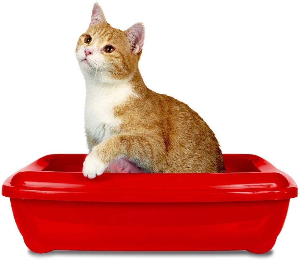 Detalle 2 de Simple Solution Eliminatore odori 500 ml 🐱