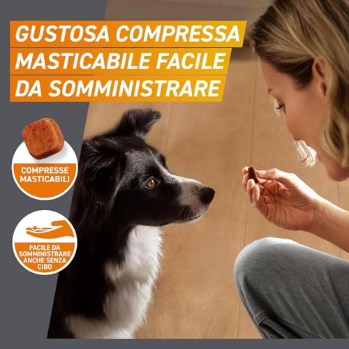 Detalle de FRONTPRO x3 Compresse Masticabili Per Cani Contro Pulci E Zecche (4-10Kg) – Sicurezza e comodità per cani di taglia media