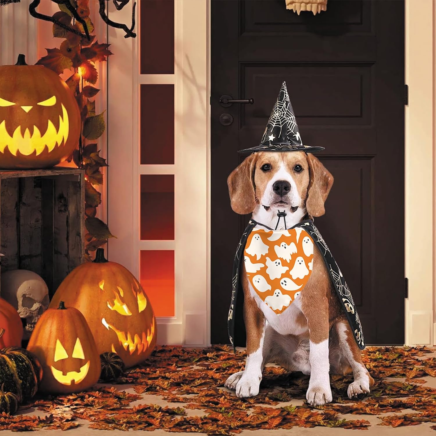 Detalle de Halloween Dog Bandanas, 2-Piece Set