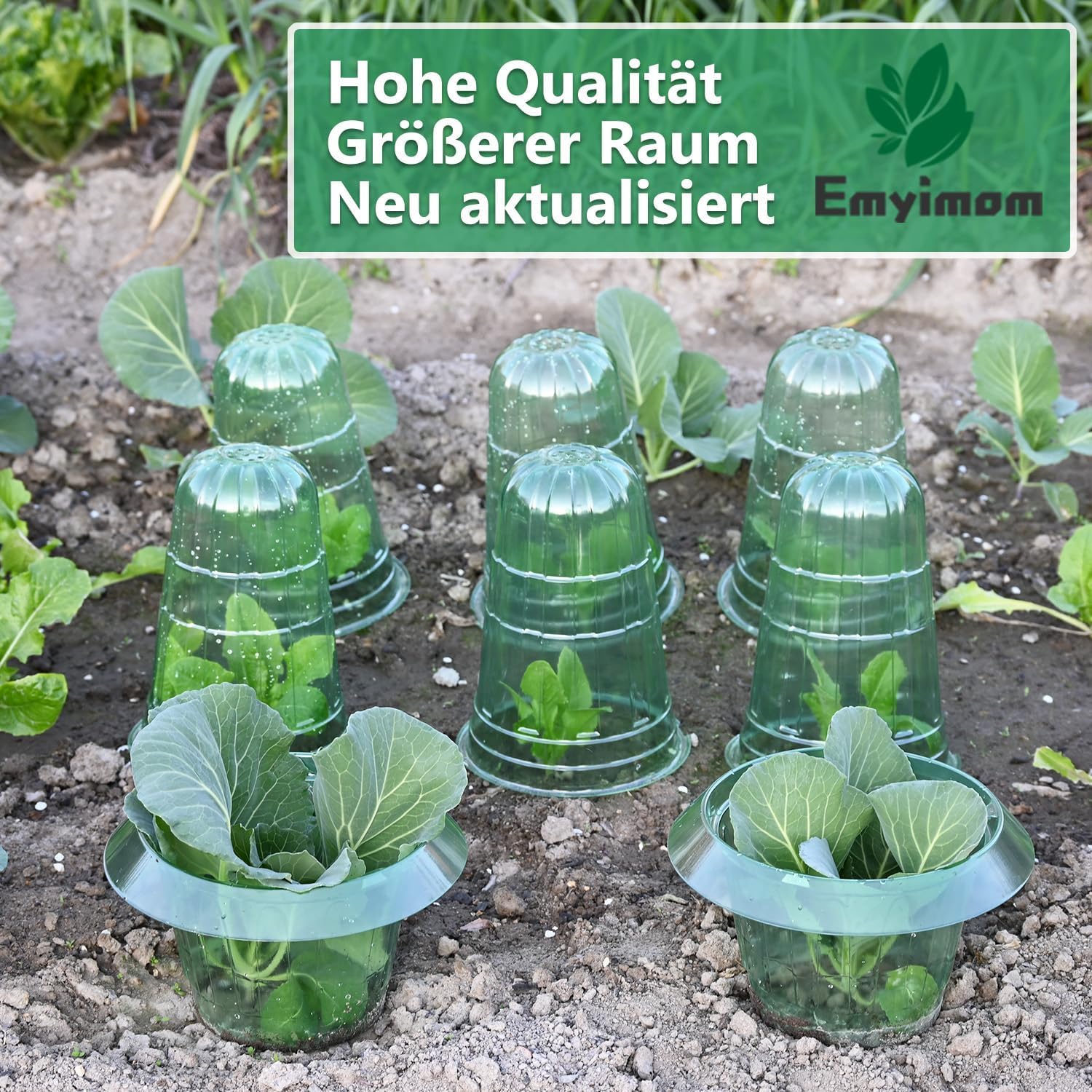 Thumbnail 5 de Emyimom Pflanzenhut (Pflanzhütchen) für Salatpflanzen – Schutz vor Vögeln, Schnecken und Wetter, 10er-Set