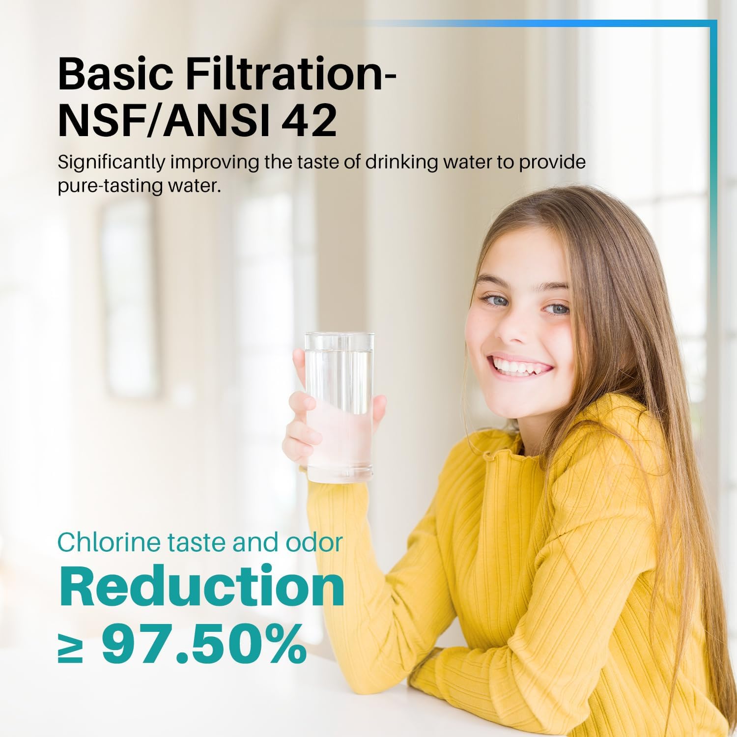 Detalle de ICEPURE RWF0600AH Refrigerator Water Filter, 3-Pack, NSF/ANSI 401, 53 & 42