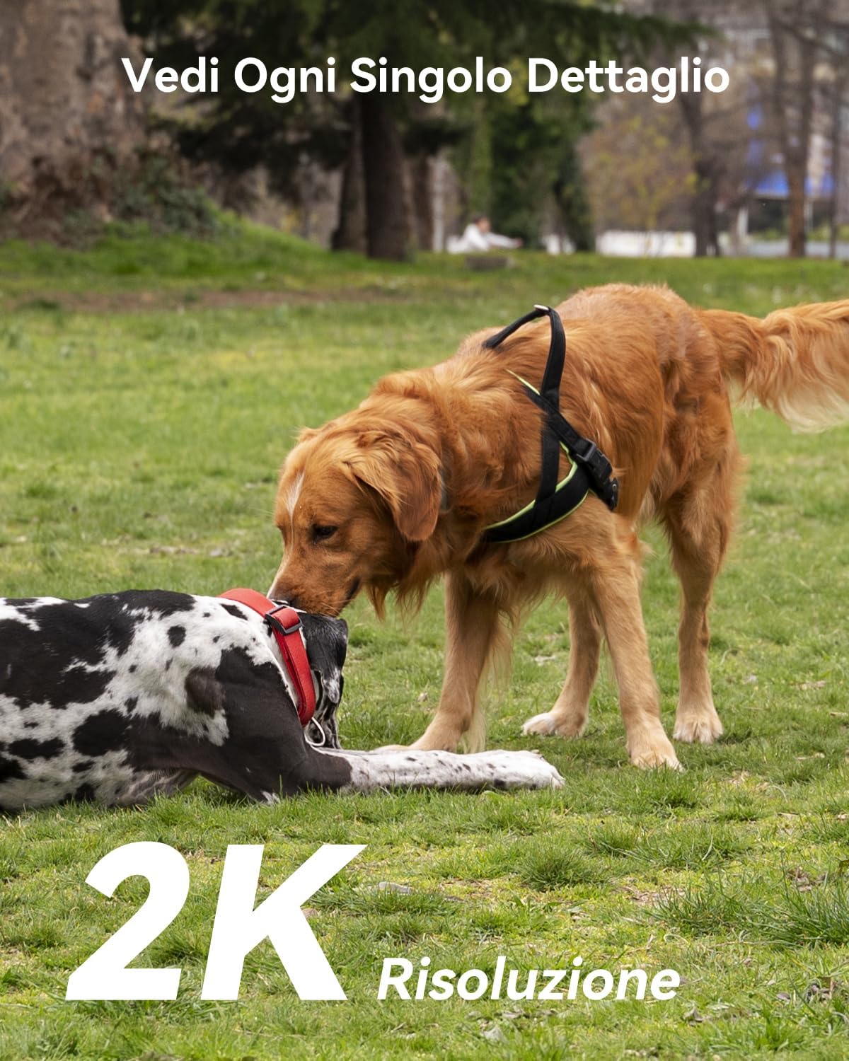 Thumbnail 1 de Imou 2K Telecamera da Esterno WiFi Solare 360° PTZ con batteria da 5000 mAh, PIR/Veicoli e visione notturna a colori