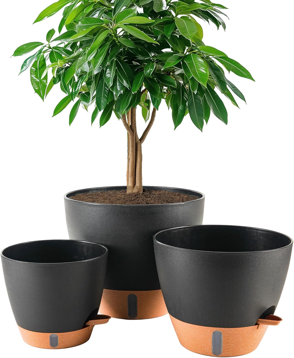 Detalle de Fielda Self-Watering Plant Pots, 8/10/12-Inch Set with Water-Level Indicator