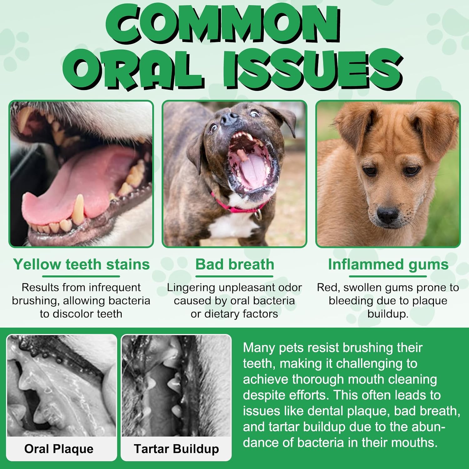 Detalle de CiAIplw Fresh Breath Oral Care Spray for Dogs – 6-in-1 Coconut Mint, 150ml
