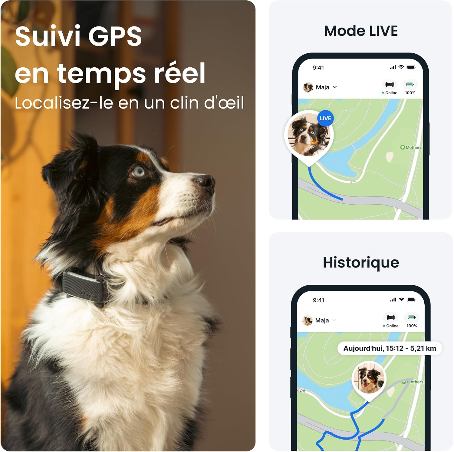 Detalle 2 de Tractive Collier GPS 2025 pour chien