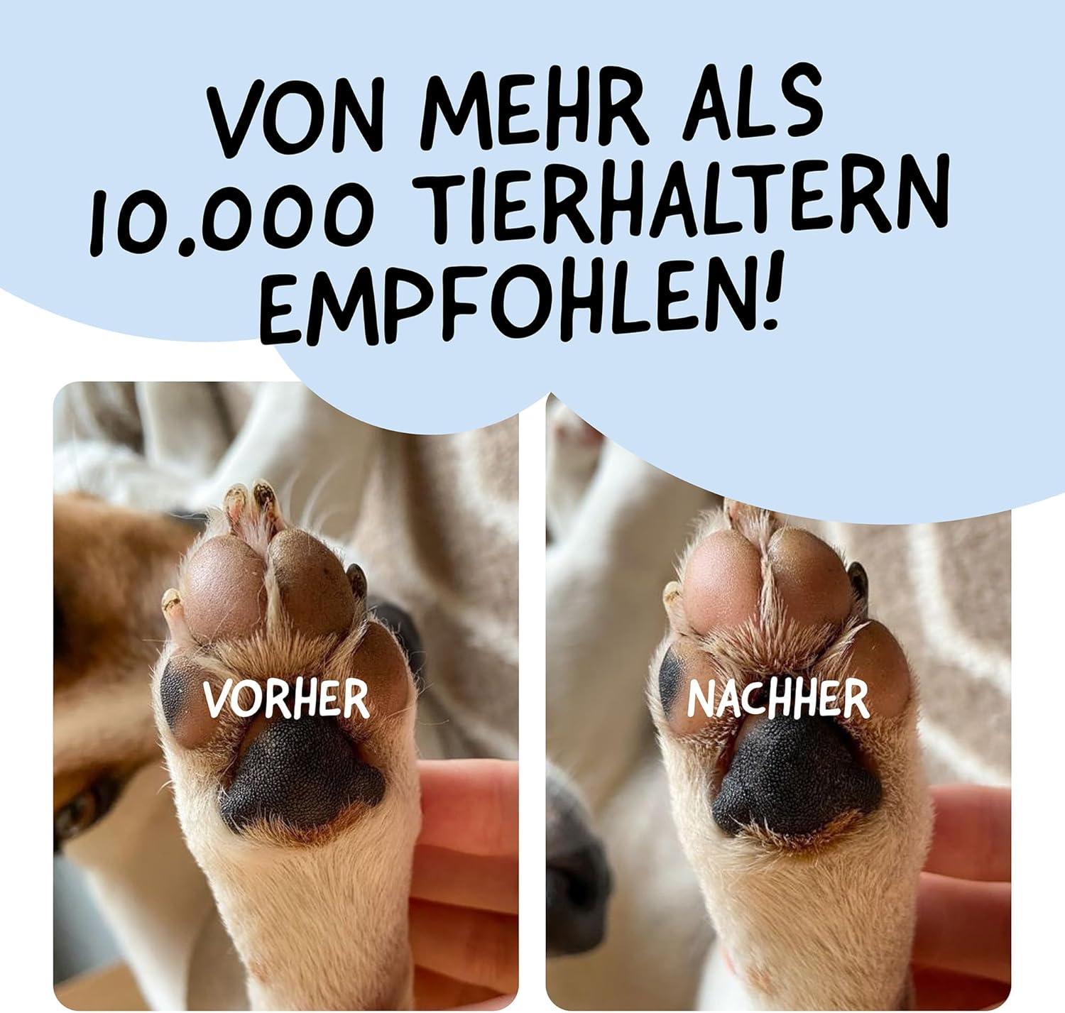 Detalle 2 de Belly® Pfotenbalsam Hund – 50 ml, Winterpfotenpflege gegen Eis, Streusalz und Trockenheit