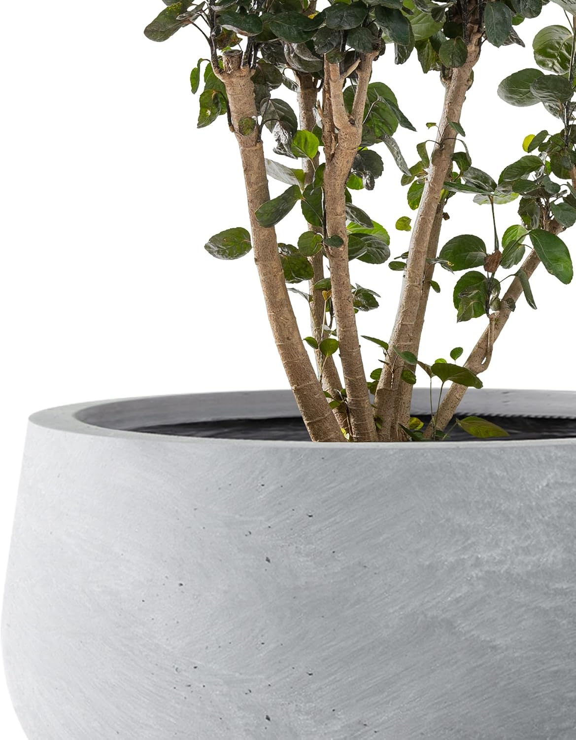 Thumbnail 6 de Kante Concrete Planters Set of 3, 19.6" 🌱