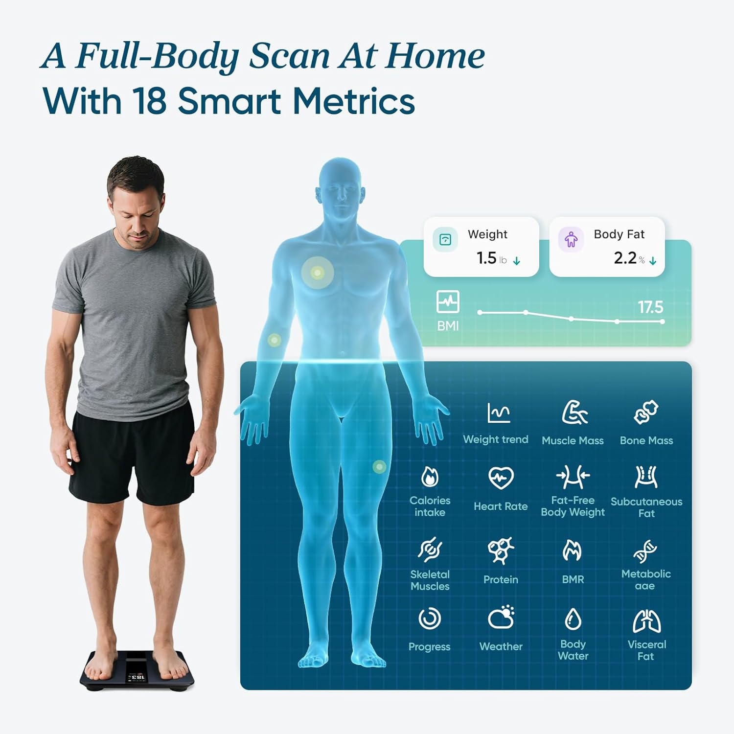 Detalle 2 de Etekcity Smart Body Scale for Fat, Weight & BMI 📈