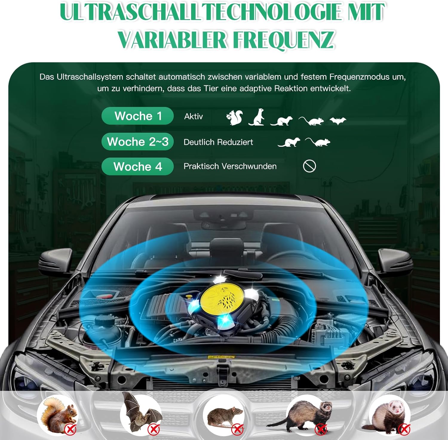 Thumbnail 2 de Onherm Marderschreck Auto Ultraschall-Mausabwehr (22–50 kHz) mit LED-Blinkwarnleuchte – 12V und USB-Stromversorgung