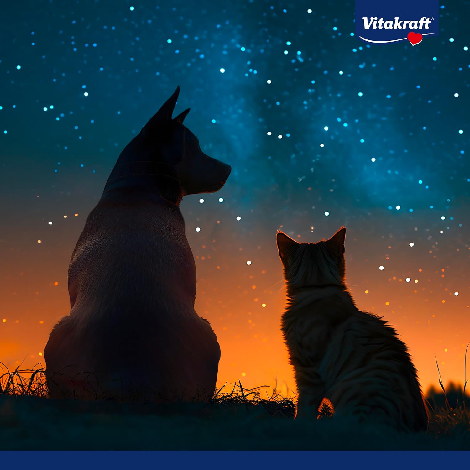 Thumbnail 4 de Vitakraft Galaxy Garden Schmetterling mit Katzensminze – interaktives Katzenspielzeug mit Saugnapf (1 Stück)