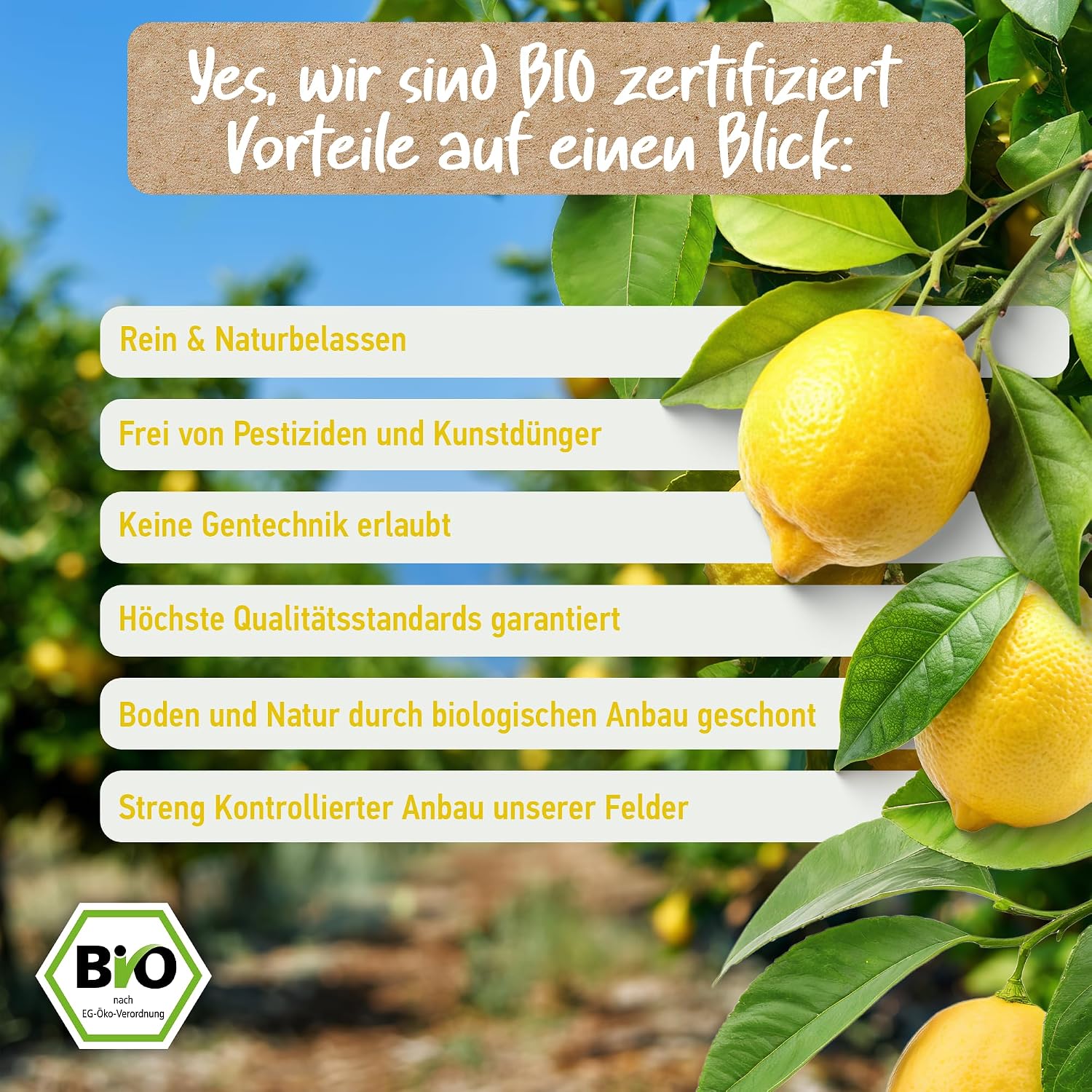Thumbnail 5 de BIO Zitronenöl [BIO-zertifiziert] 100% Naturrein – Kaltgepresst aus Italien, Lebensmittelqualität